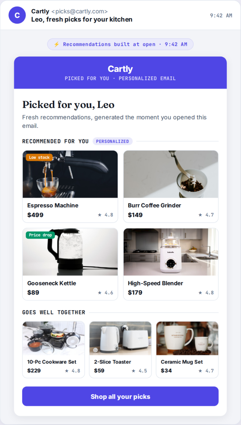 Email product recommendations example showing one campaign whose product blocks render per recipient at open time